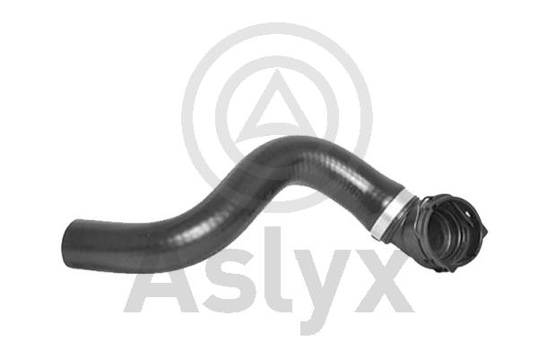Radiator Hose (AS-204433)