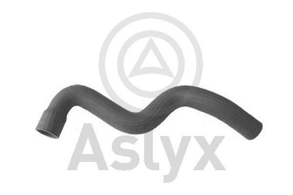 Charge Air Hose (AS-204355)