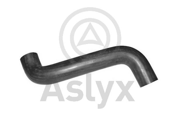 Radiator Hose (AS-509847)