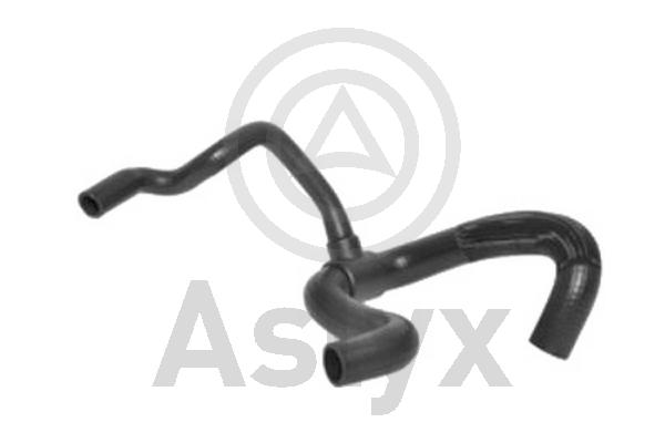 Radiator Hose (AS-203732)