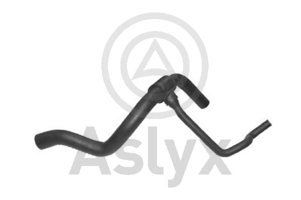 Radiator Hose (AS-203990)