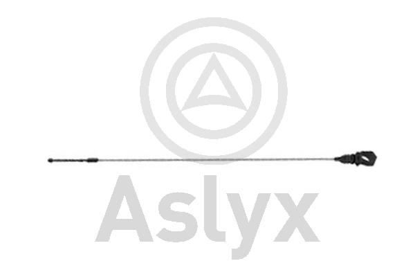 Oil Dipstick (AS-202578)