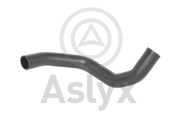 Radiator Hose (AS-204367)