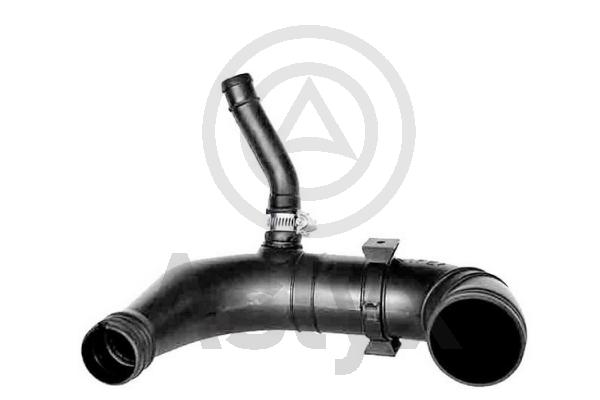 Intake Hose, air filter (AS-201575)