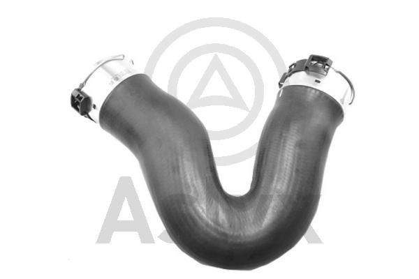 Charge Air Hose (AS-594304)
