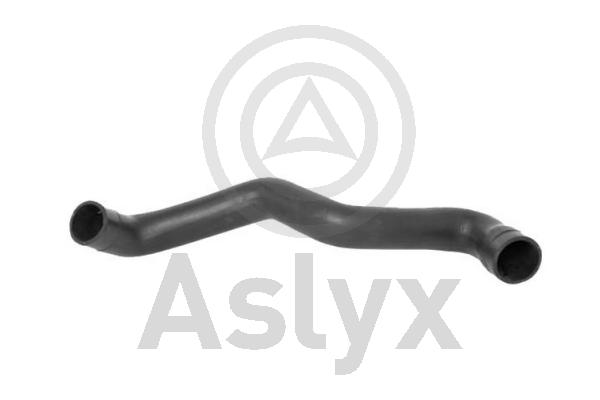 Charge Air Hose (AS-204342)