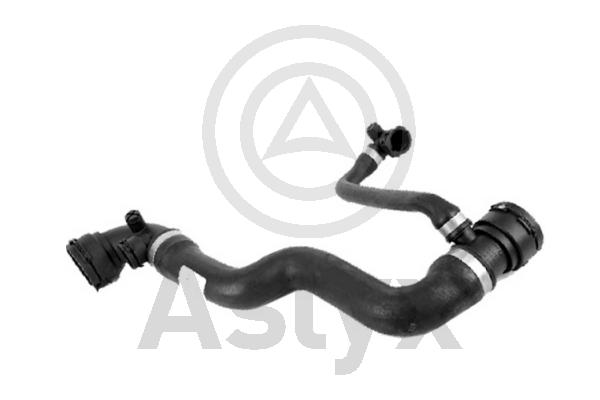 Radiator Hose (AS-204451)