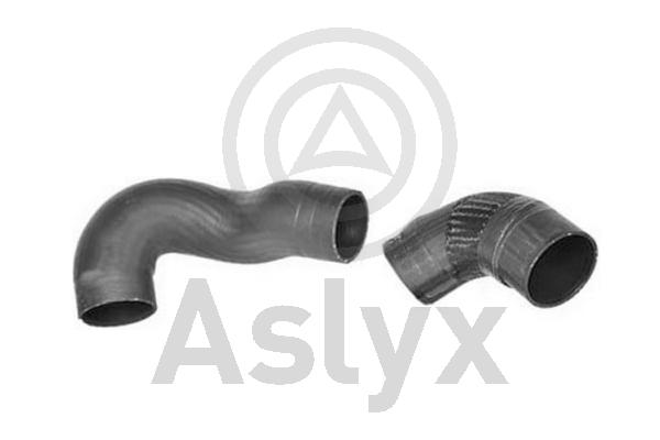Charge Air Hose (AS-509649)