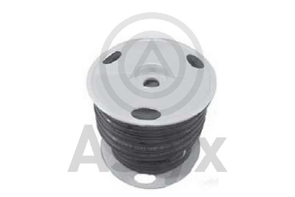 Fuel Hose (AS-200209)