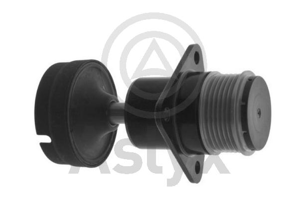 Alternator Freewheel Clutch (AS-202205)