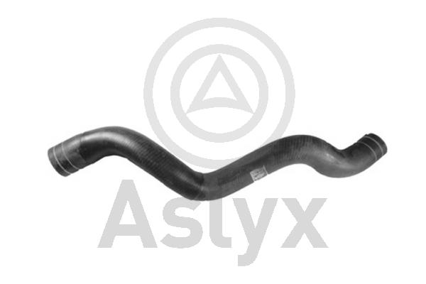 Radiator Hose (AS-509587)