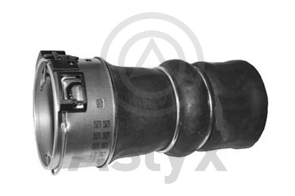 Radiator Hose (AS-594268)