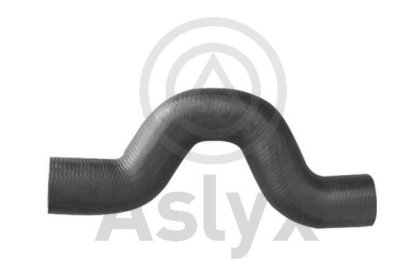 Charge Air Hose (AS-509810)