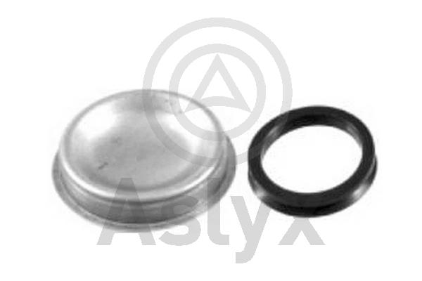 Wheel Hub (AS-202270)