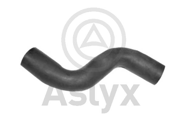Radiator Hose (AS-203756)