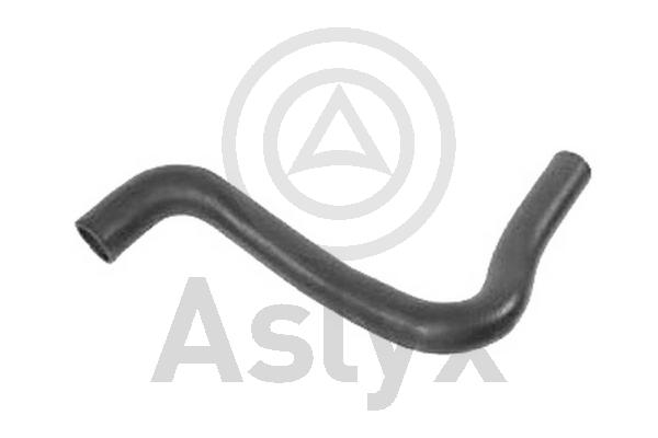 Radiator Hose (AS-204365)