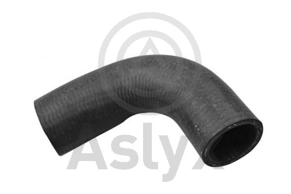 Radiator Hose (AS-202494)