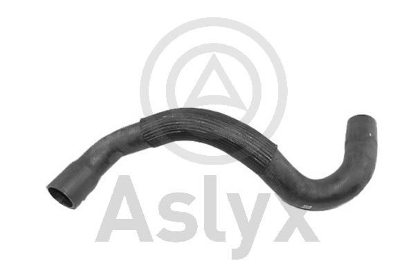 Radiator Hose (AS-509676)