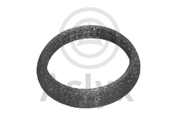 Seal Ring, exhaust pipe (AS-200757)