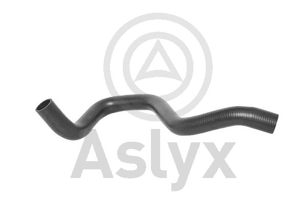 Radiator Hose (AS-204145)