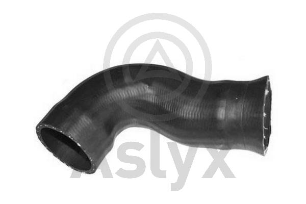 Charge Air Hose (AS-509969)
