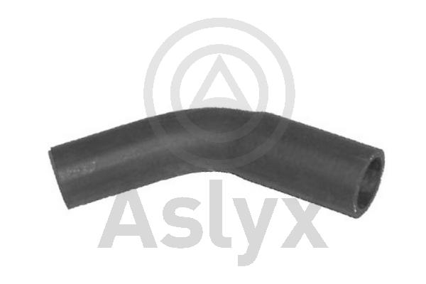 Radiator Hose (AS-203796)