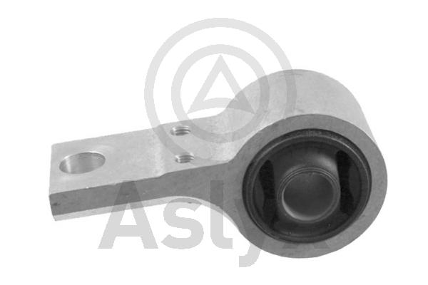 Mounting, control/trailing arm (AS-202308)