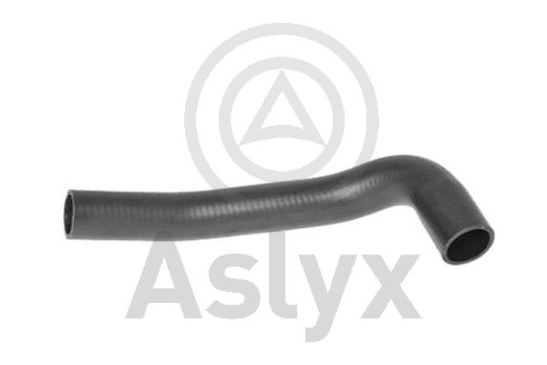Radiator Hose (AS-203552)