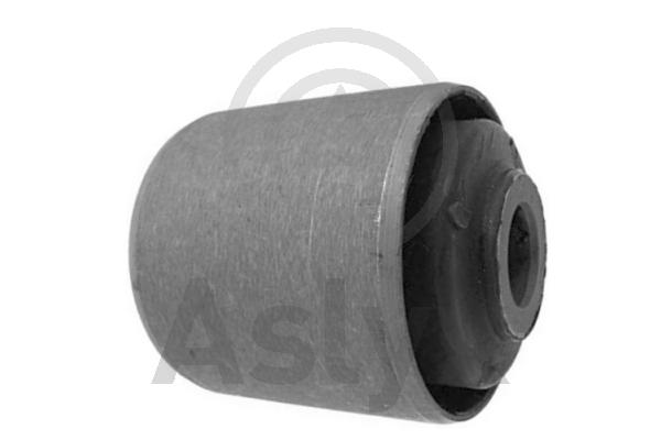 Mounting, control/trailing arm (AS-202169)