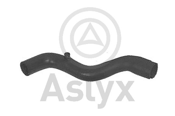 Radiator Hose (AS-203556)