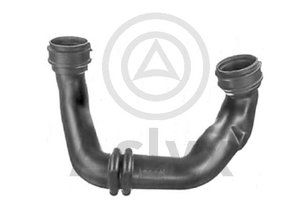 Charge Air Hose (AS-201496)