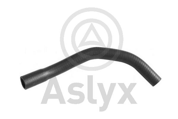 Radiator Hose (AS-203730)