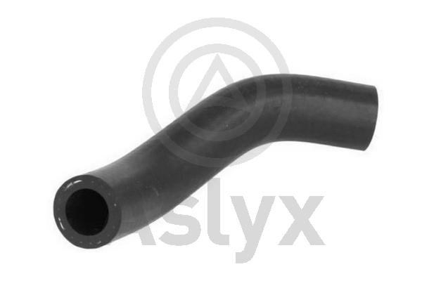Radiator Hose (AS-509863)