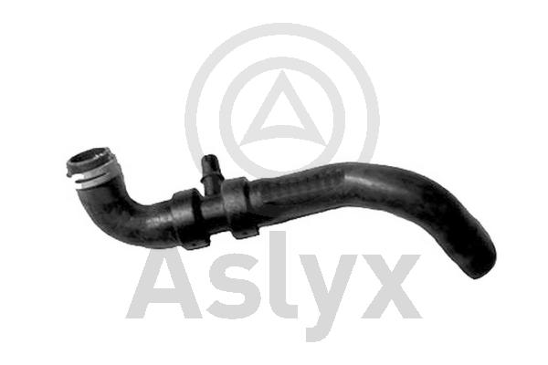 Radiator Hose (AS-204200)