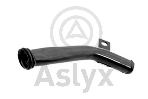 Coolant Pipe (AS-201221)