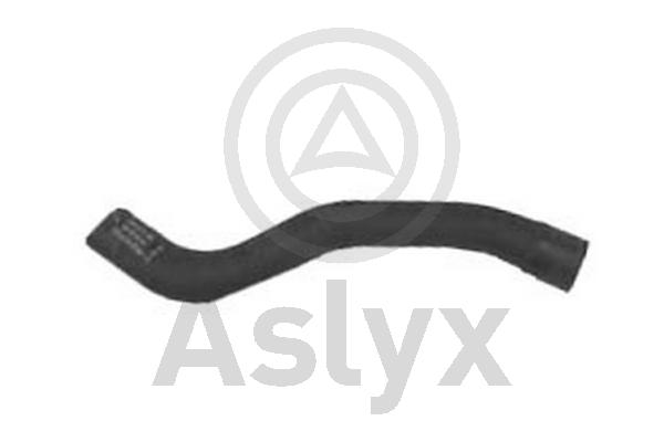 Radiator Hose (AS-203679)