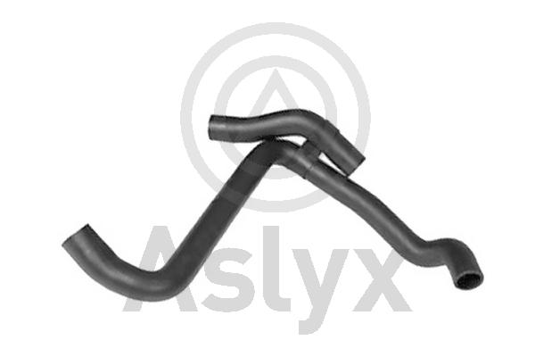 Radiator Hose (AS-204481)