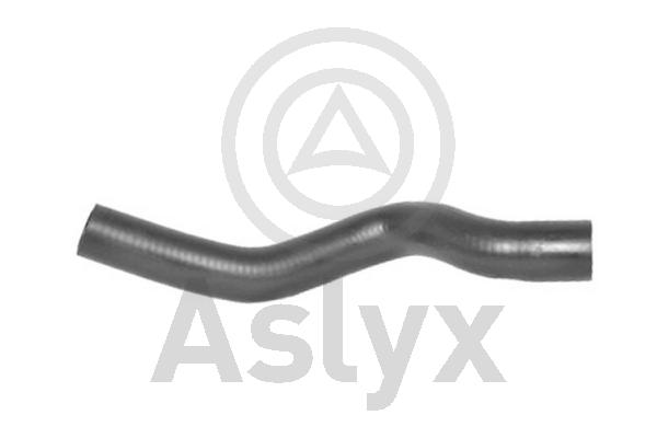 Radiator Hose (AS-203560)