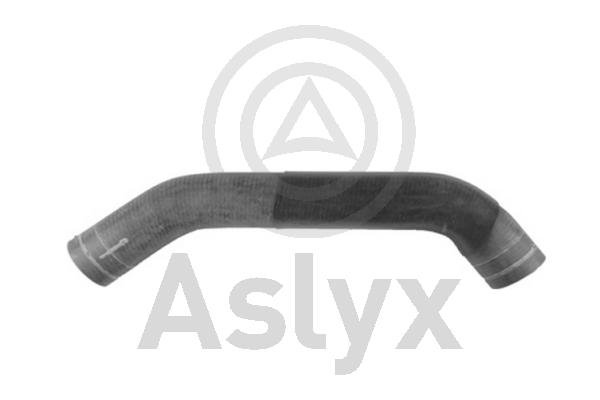 Radiator Hose (AS-509595)