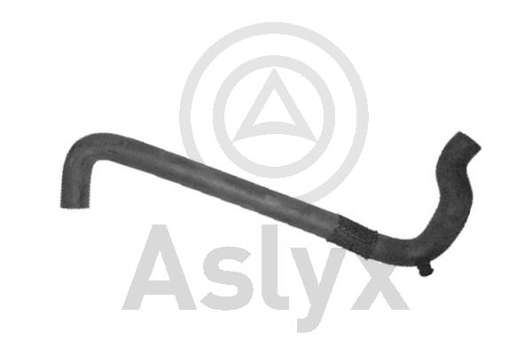 Radiator Hose (AS-204439)