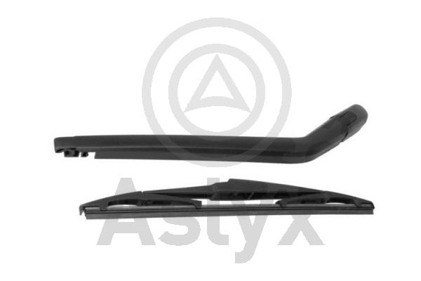 Wiper Arm, window cleaning (AS-570321)