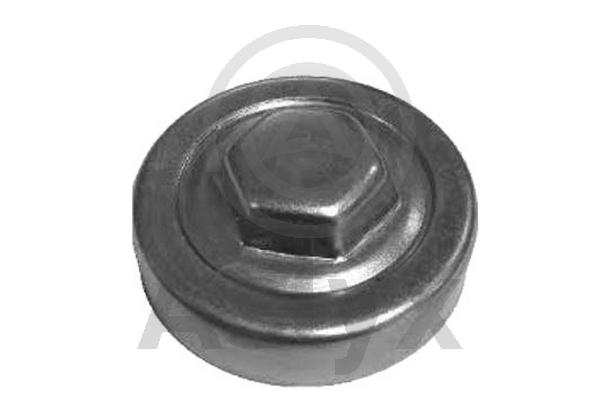 Cap, radiator (AS-201414)