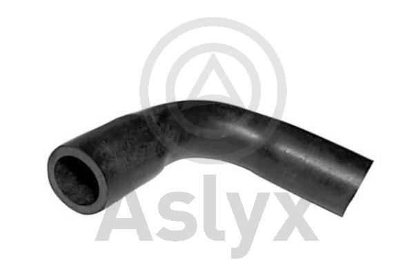 Hose, crankcase ventilation (AS-203657)