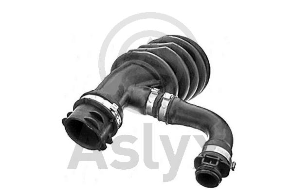 Intake Hose, air filter (AS-506265)