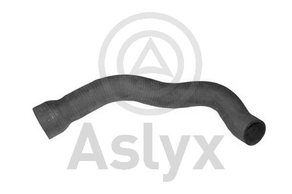 Charge Air Hose (AS-510024)