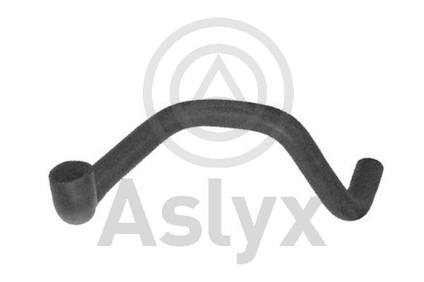 Radiator Hose (AS-204023)