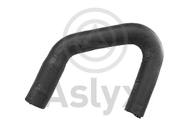 Radiator Hose (AS-204402)