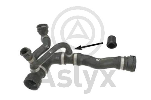 Radiator Hose (AS-509891)