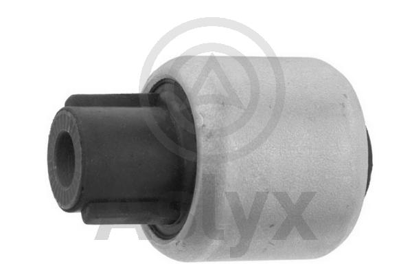 Mounting, control/trailing arm (AS-203119)