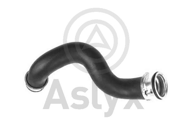 Radiator Hose (AS-510045)